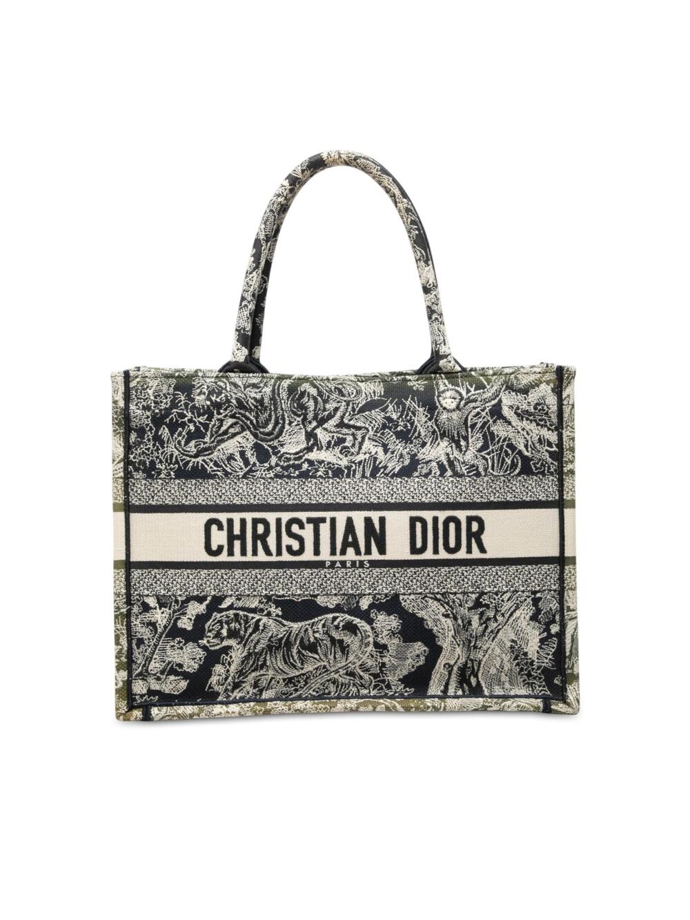Dior Medium Canvas Embroidered Reverse #372941D13B